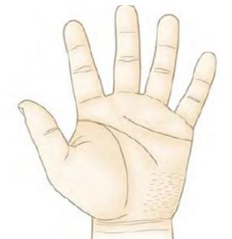 掌纹干净清晰的人(掌纹干净的人是否命好)