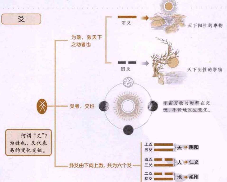 《易经》爻:仿效，易的变化交错