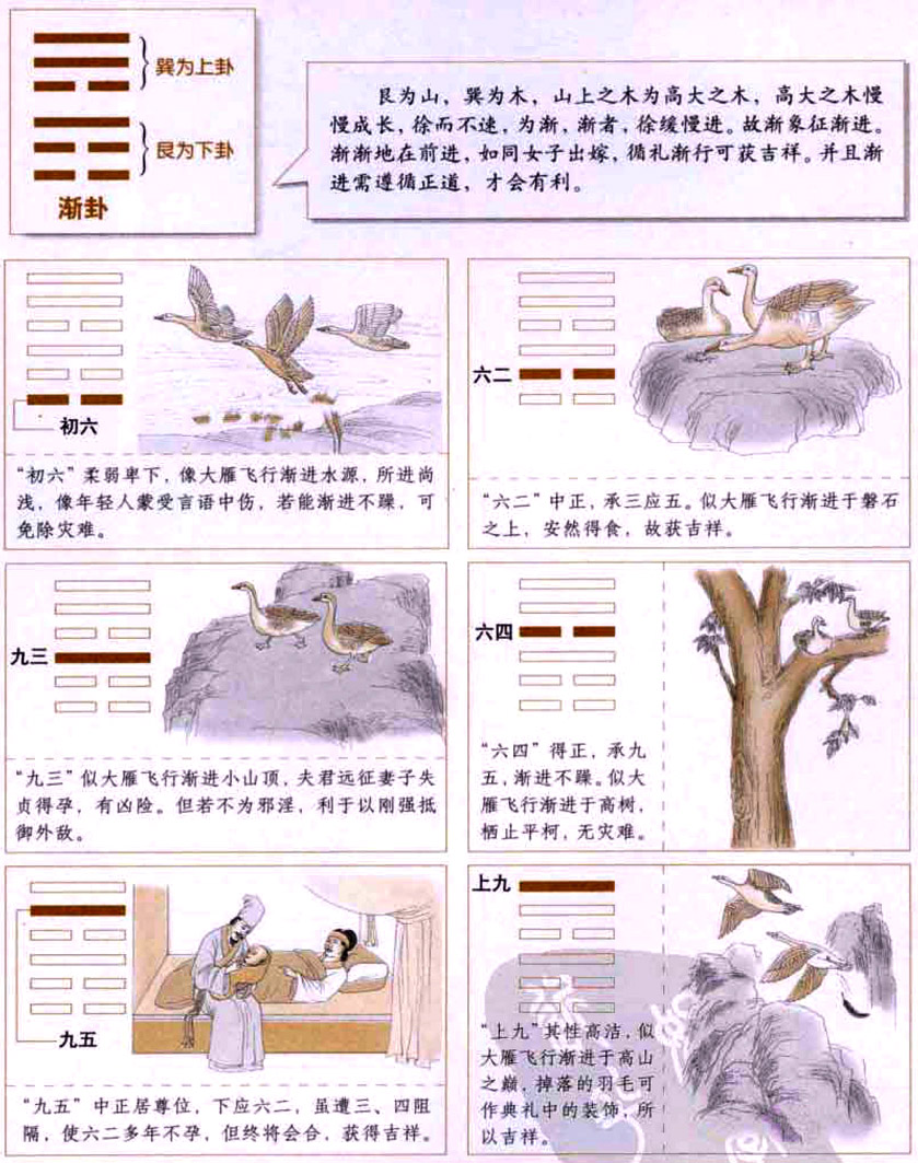 【自学易经之53卦】渐卦：循序渐进，动静自然