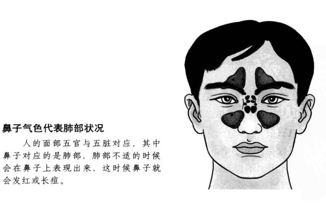 鼻子准头鲜红就预示肺部病变了吗?