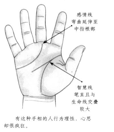 感情线弯曲延伸至中指根部，智慧线笔直且与生命线相互重合 ... ...