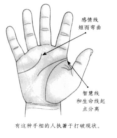 感情线短而弯曲，智慧线和生命线起点分离
