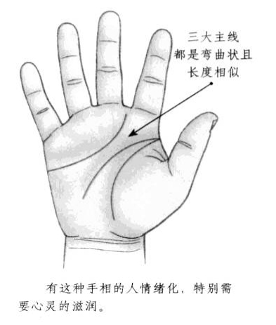 手掌中的三大主线，包括生命线、智慧线和感情线，都呈现出弯曲状，且长度相当 ...