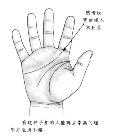 感情线呈现弯曲状，且延伸至木丘星部位