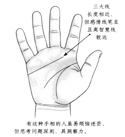 感情线形态笔直，且距离智慧线比较远，三大线的长度十分接近 ...