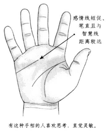 感情线短促、笔直且与智慧线距离较远