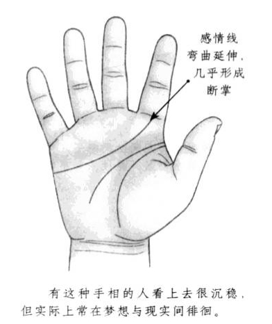 感情线形态弯曲，向两侧延伸，几乎形成断掌