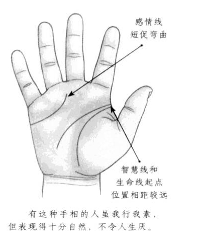感情线长度短促，且形状弯曲，智慧线和生命线起点位置相距较远 ...