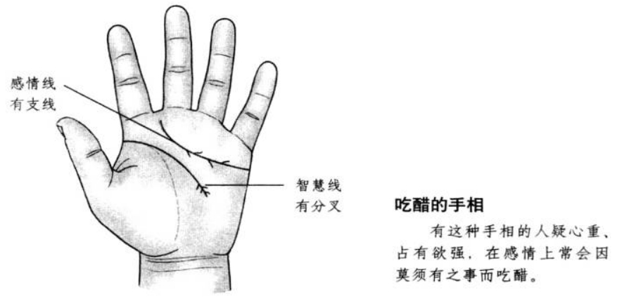 怎样从感情线判断对爱情的在意程度?