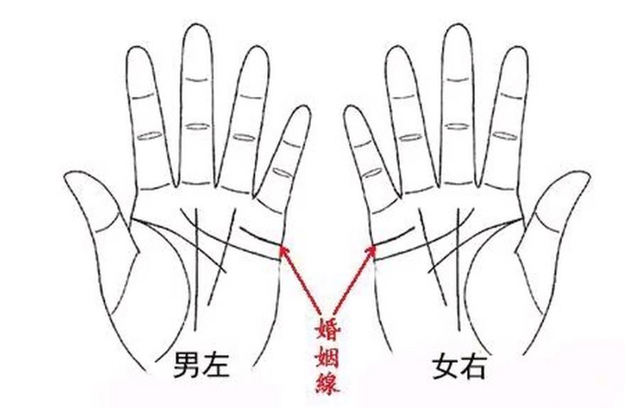 怎样以手相测出花心与闷骚指数?