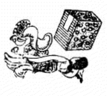 《推背图》第五象　戊辰坤下巽上观