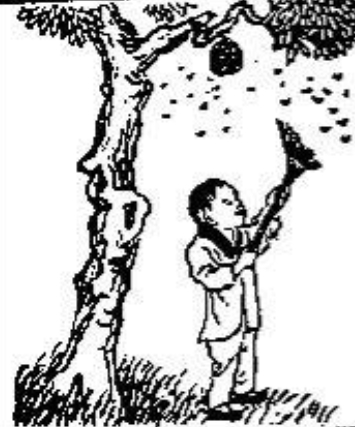 《推背图》第十五象　戊寅离下震上丰