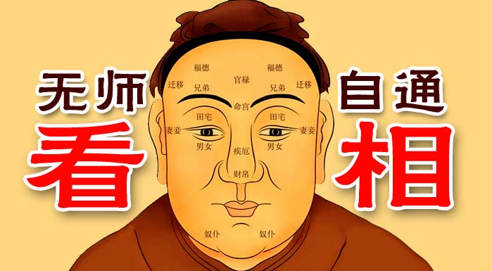 【面相学】教你正确的以貌取人