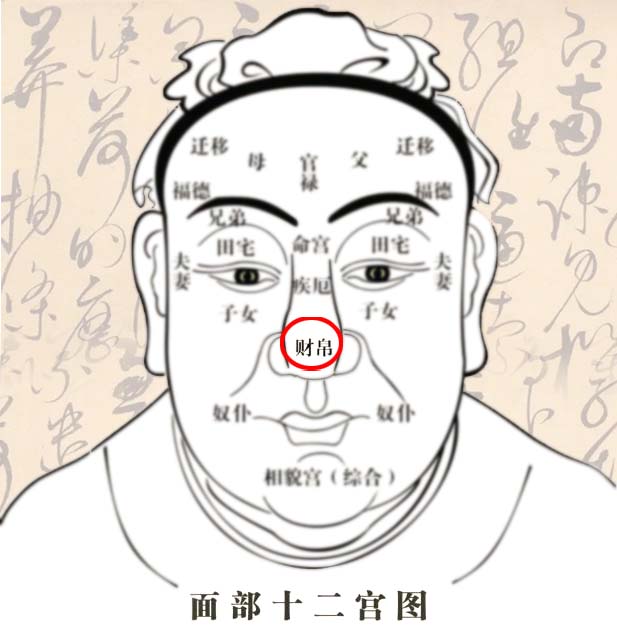 男性财帛宫长痣代表什么