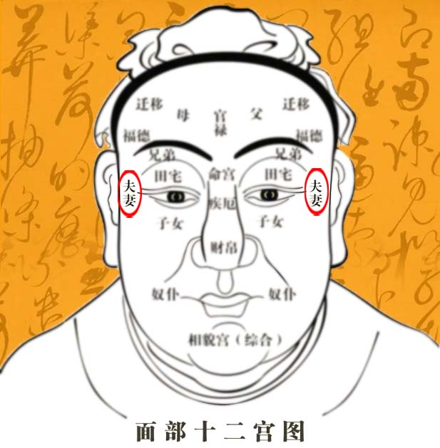 女性妻妾宫长痣代表什么