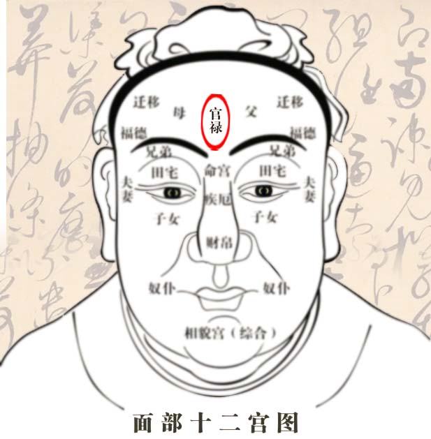 男性官禄宫长痣代表什么
