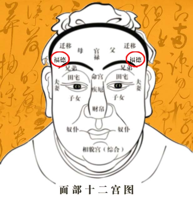 女性福德宫长痣代表什么