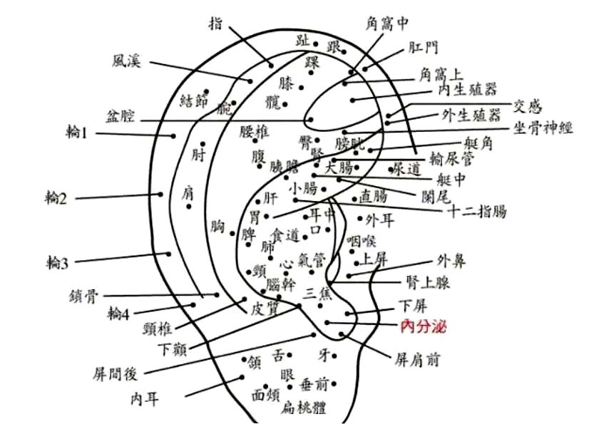 男性耳朵长痣代表什么