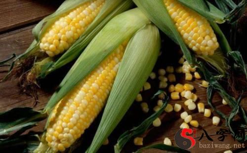 梦见玉米棒发霉