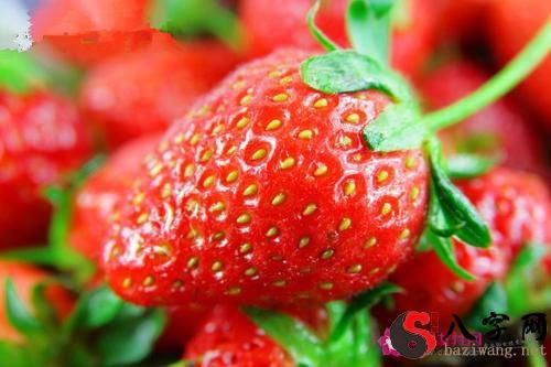 梦见红红的草莓
