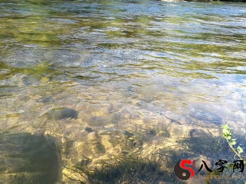 梦见河水清澈